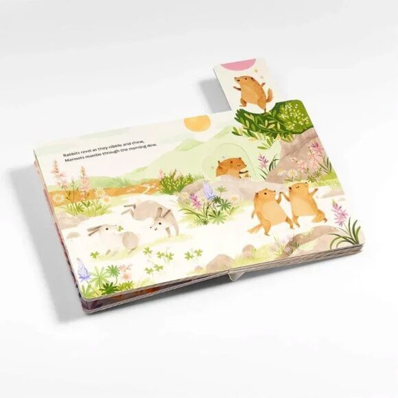 "Sunrise Dance" interactive board book NWT - Picture 7 of 9